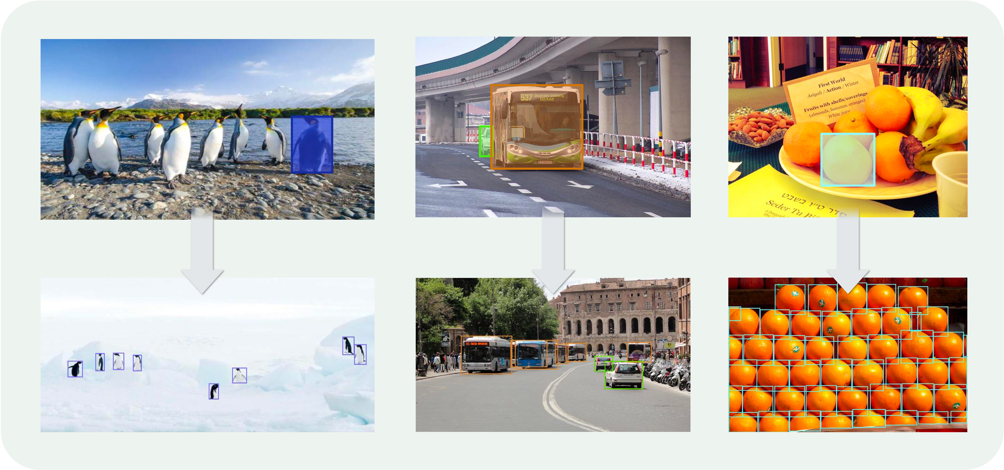 Cross Images Visualization